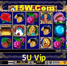 Integração de APIs 5U Vip