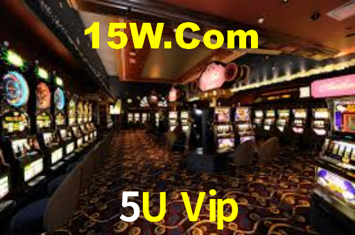 5U Vip App Interface