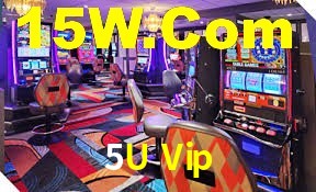 Bonus Features 5U Vip